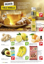 Bio im E center Prospekt in Neustadt Aktueller E center Prospekt mit Bio, "Aktuelle Angebote", Seite 2