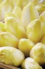 Endive en promo chez Netto Endive dans le catalogue Netto