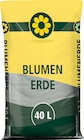 Blumenerde im Angebot bei Wreesmann in Altenburg Blumenerde Angebote bei Wreesmann Altenburg für 1,99 €