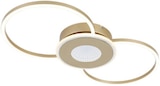 LED-Deckenleuchte „ALEXANDER“ im Angebot bei mömax in Darmstadt LED-Deckenleuchte „ALEXANDER“ Angebote bei mömax Darmstadt für 29,99 €