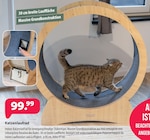 Kiebitzmarkt Raesfeld - Katzenlaufrad Angebot im Prospekt Katzenlaufrad bei Kiebitzmarkt im Raesfeld Prospekt für 99,99 €