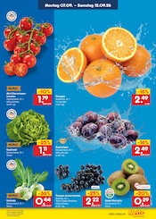 Kiwi im Netto Marken-Discount Prospekt in Cottbus Aktueller Netto Marken-Discount Prospekt mit Kiwi, "Aktuelle Angebote", Seite 17
