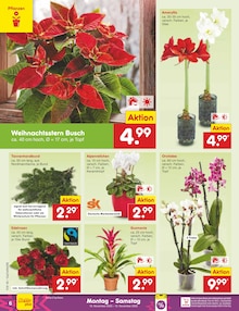 Pflanzen im Netto Marken-Discount Prospekt "Aktuelle Angebote" mit 63 Seiten (Bremerhaven)