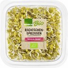Radieschen-sprossen bei E center im Wittlich Prospekt für 1,11 €