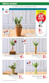 Fleurs en promo dans le catalogue Hyper U à la page 42