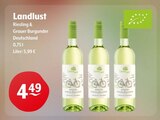 weißwein bei Huster im Mühlau Prospekt für 4,49 €