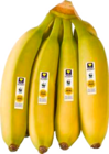 Bananen Angebote von EDEKA bei EDEKA Greifswald für 1,89 €