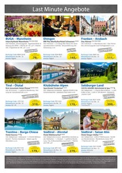 Garten im EDEKA Prospekt in Karlsruhe Aktueller EDEKA Prospekt mit Garten, "Aktuelle Angebote", Seite 32