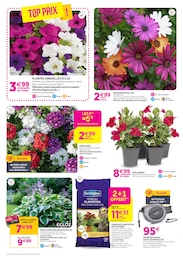 Prix et réduction Fleur Artificielle dans le prospectus Delbard en cours Offre Fleur Artificielle dans le catalogue Delbard du moment à la page 4