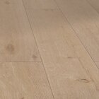 Laminat Angebote von toom bei toom Baumarkt Bad Oeynhausen für 26,86 €