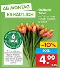 Großbund Tulpen im Angebot bei Netto Marken-Discount in Altenburg Großbund Tulpen Angebote bei Netto Marken-Discount Altenburg für 4,99 €