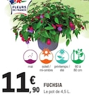 Fuchsia en promo à 11,90 € chez E.Leclerc Fuchsia dans le catalogue E.Leclerc