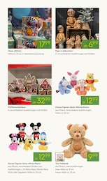 Pflanzen Kölle Disney im Prospekt 