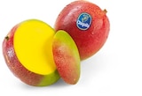 Netto Marken-Discount - Mango Angebot im Prospekt Mango bei Netto Marken-Discount im Prospekt "" für 0,99 €