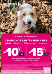 Promotion Loisirs Créatifs dans le prospectus Carrefour, valable du 11/11/2025 au 24/11/2025 Promo Loisirs Créatifs dans le catalogue Carrefour du moment à la page 100