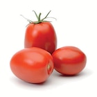 Plusieurs variétés au choix. Semis février à mai. Récolte juillet à octobre. Sur tous types de sol - GONDIAN en promo chez Espace Emeraude Brest à 1,60 €