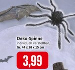 Deko-Spinne bei Kaufhaus Stolz im Koserow Prospekt für 3,99 €
