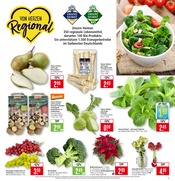 Pflanzen im Marktkauf Prospekt in Heidenheim Aktueller Marktkauf Prospekt mit Pflanzen, "Aktuelle Angebote", Seite 3