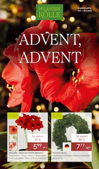 Pflanzen Kölle Prospekt ADVENT ADVENT mit 16 Seiten