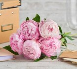 Bouquet de 5 pivoines doubles à Carrefour dans Gérauvilliers