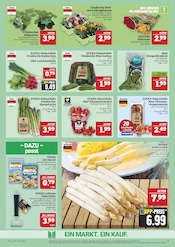 Balkonpflanzen im Marktkauf Prospekt in Erlangen Aktueller Marktkauf Prospekt mit Balkonpflanzen, "GANZ GROSS in kleinsten Preisen!", Seite 9