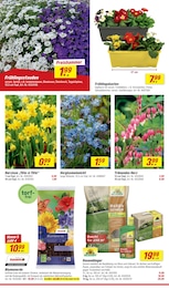 Aktueller toom Baumarkt Prospekt mit Gartenerde, "Respekt, wer's selber macht.", Seite 4