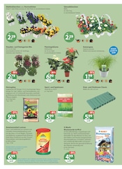 Aktueller V-Markt Prospekt mit Blumenerde, "V-Markt einfach besser einkaufen", Seite 18