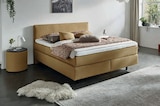 Aktuelles Boxspringbett Angebot bei Opti-Wohnwelt in Bremen ab 1.399,00 €