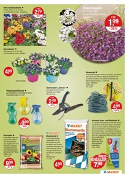 Garten Angebot im aktuellen V-Markt Prospekt auf Seite 17