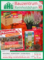 Blumentopf im Bauzentrum Reinholdshain Prospekt in Freital Aktueller Bauzentrum Reinholdshain Prospekt mit Blumentopf, "REGIONAL.KOMPETENT.ZUVERLÄSSIG.", Seite 1