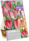 Bulbes mix de couleurs en promo chez Lidl Bulbes mix de couleurs dans le catalogue Lidl