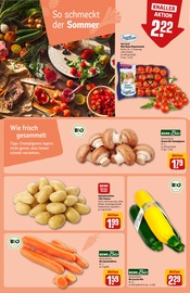 Paprika-Mix im REWE Prospekt in Heidelberg Aktueller REWE Prospekt mit Paprika-Mix, "Dein Markt", Seite 23