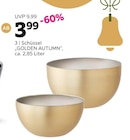 SCHÜSSEL „GOLDEN AUTUMN“ Angebote bei mömax Ingolstadt für 3,99 €