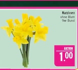 Aktuelles Narzissen Angebot bei Marktkauf in Nürnberg ab 1,00 €