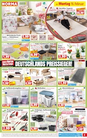 Blumenzwiebeln im Norma Prospekt in Hof Aktueller Norma Prospekt mit Blumenzwiebeln, "Mehr fürs Geld", Seite 5