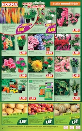 Prospectus Norma "Votre Discounter Régional" en cours à Mulhouse, Page 4 Catalogue Norma en cours à Mulhouse, "Votre Discounter Régional", Page 4