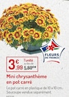 Promo Mini chrysanthème en pot carré à 3,99 € dans le catalogue Botanic à Annemasse