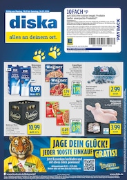 diska Treuepunkte im Prospekt 