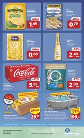 Pool im combi Prospekt in Hameln Aktueller combi Prospekt mit Pool, "Markt - Angebote", Seite 43