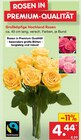 Großköpfige Hochland Rosen bei Netto Marken-Discount im Prospekt "" für 4,44 €