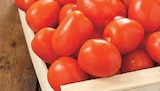 Intermarché Riom-és-Montagnes - Promo Tomate Allongée Promo Tomate Allongée à 2,49 € dans le catalogue Intermarché à Riom-és-Montagnes