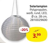 Solarlampion im Angebot bei ROLLER in Essen Solarlampion Angebote bei ROLLER Essen für 3,99 €