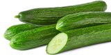 Penny - Bio-Gurke Angebot im Prospekt Bio-Gurke bei Penny im Prospekt "" für 0,89 €