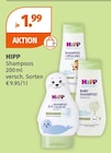 HIPP Angebote bei Müller Kleve für 1,99 €