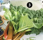 HIMBEER-RHABARBER FRAMBOSEN von  im aktuellen Dehner Garten-Center Prospekt für 12,99 €