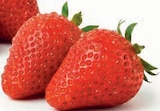 Erdbeeren im Angebot bei nah&frisch in Münster Erdbeeren Angebote bei nah&frisch Münster