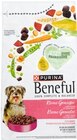 Beneful Hundefutter von Purina im aktuellen Kaufland Prospekt