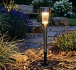 Aktuelles LED-SOLAR-LAMPE Angebot bei Wreesmann in Dresden ab 0,79 €
