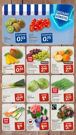 Aktueller nahkauf Prospekt mit Blumentopf, "nichts liegt näher", Seite 3