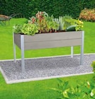 WPC Hochbeete »Elias« mit Beinen von Kölle im aktuellen Pflanzen Kölle Prospekt